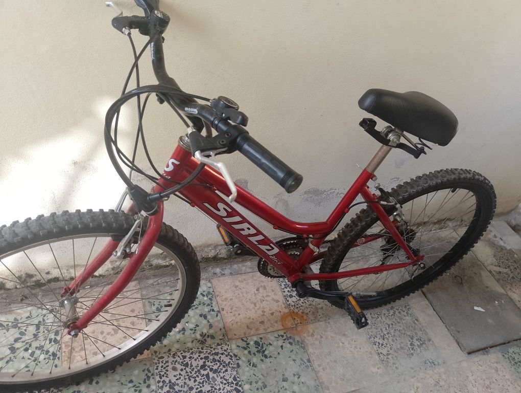 bicleta de marcha