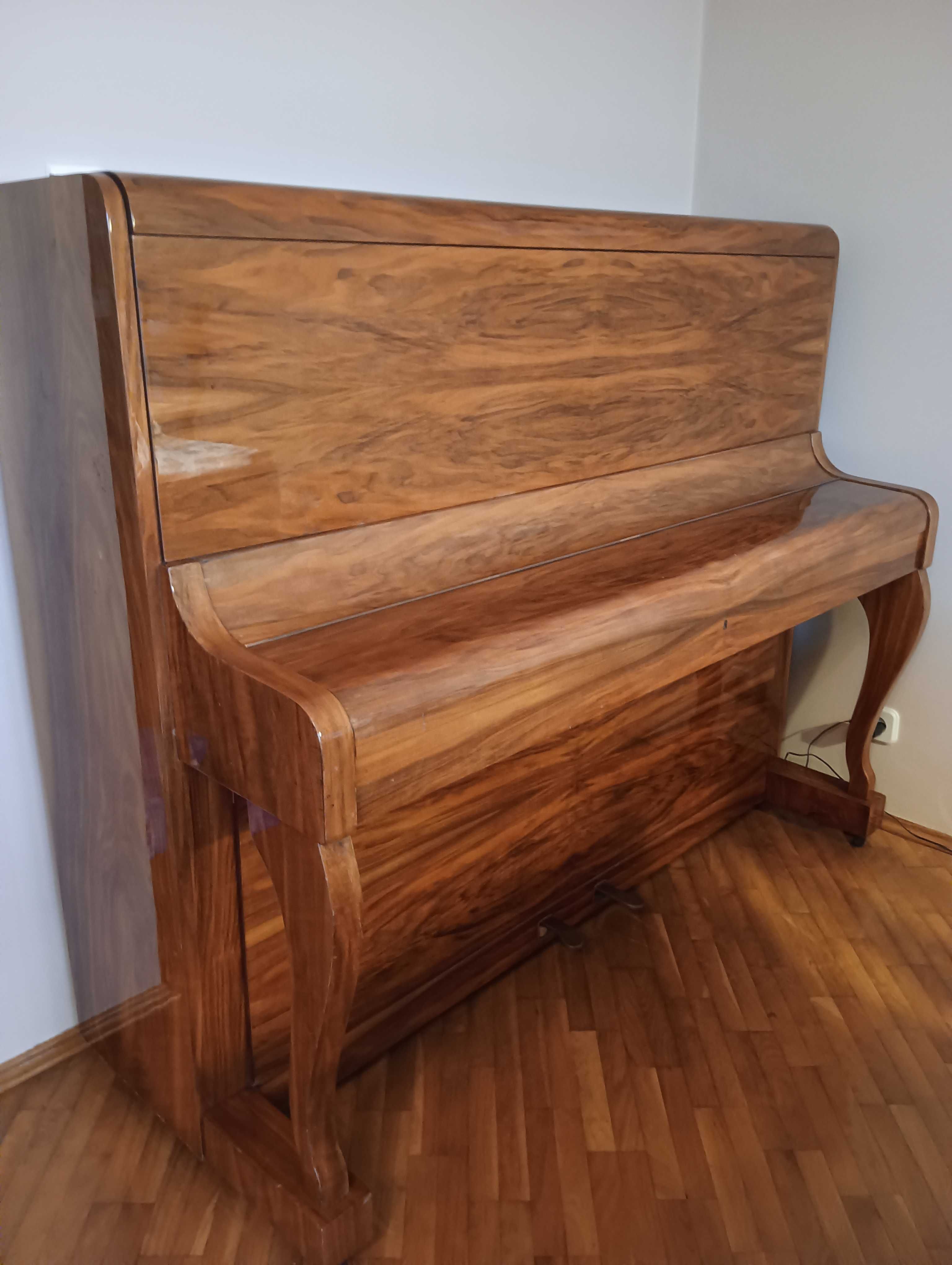 Pianino Calisia M-36