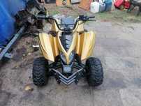 Quad Wągrowiec 125 automat 3+1