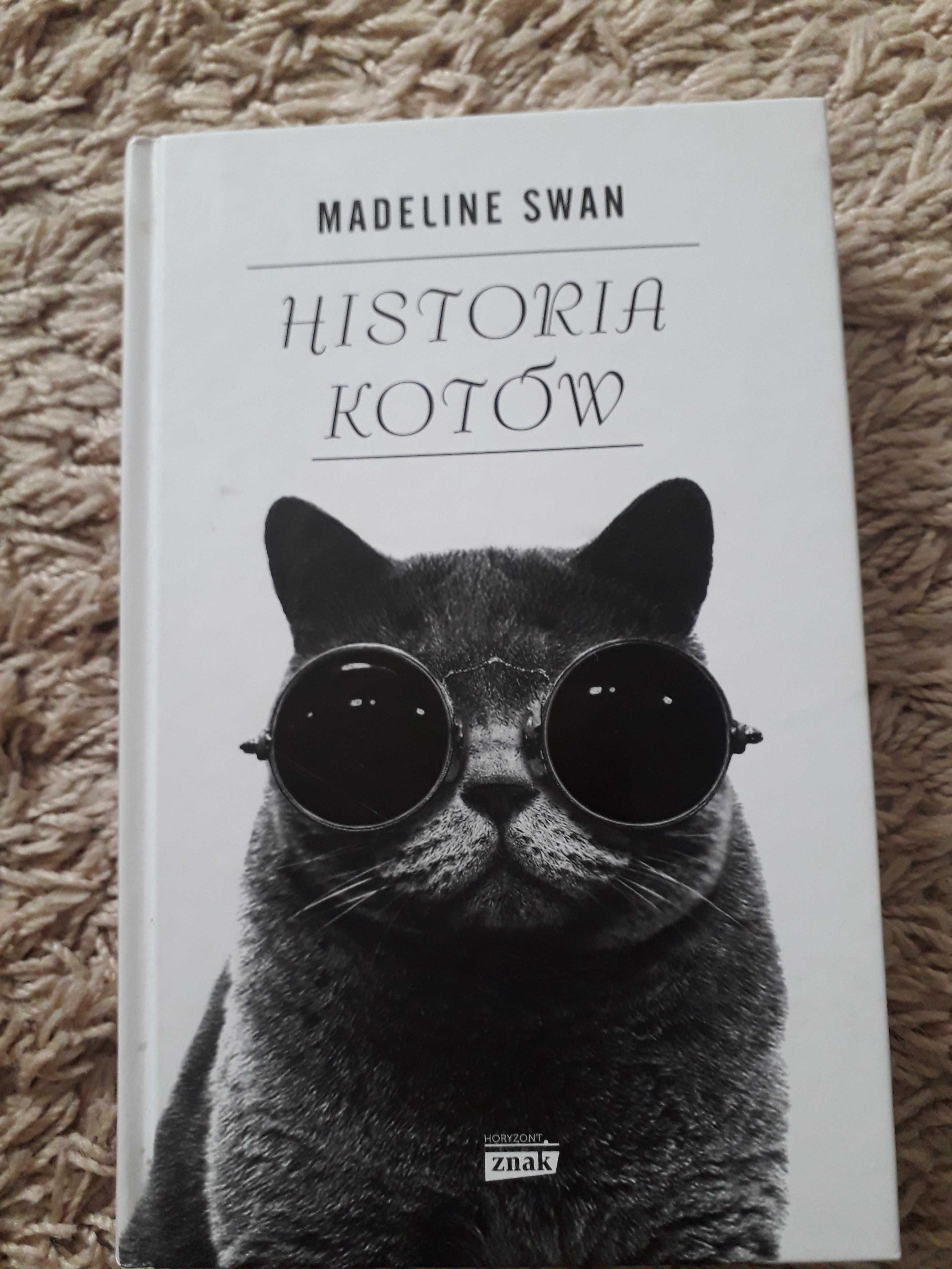 Historia kotów Madeline Swan