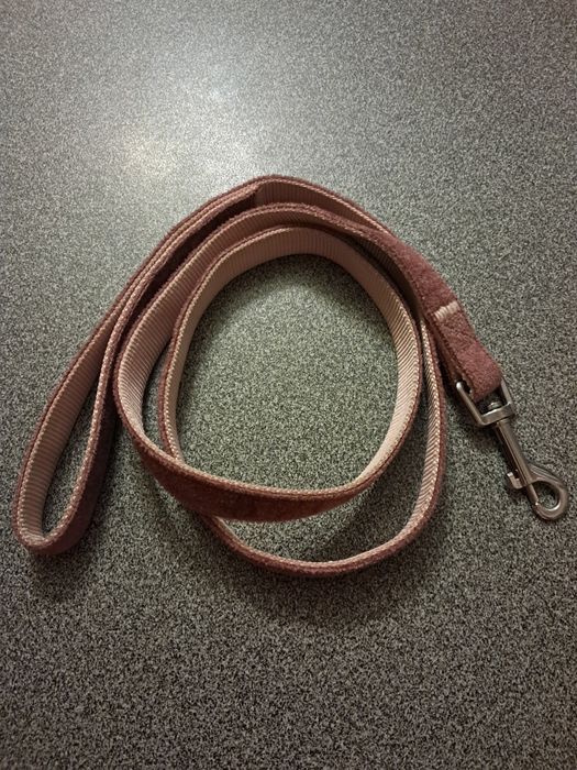 Smycz dla psa 120 cm