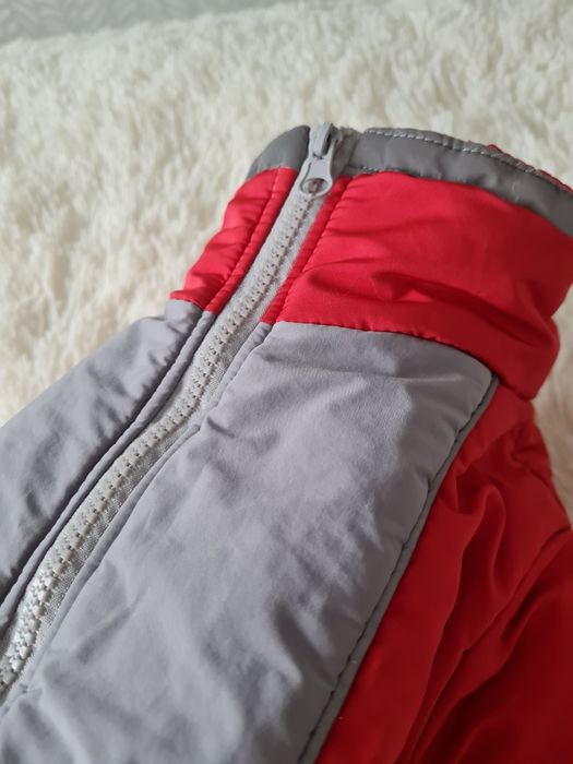 Зимовий комбінезон для собаки дівчинки