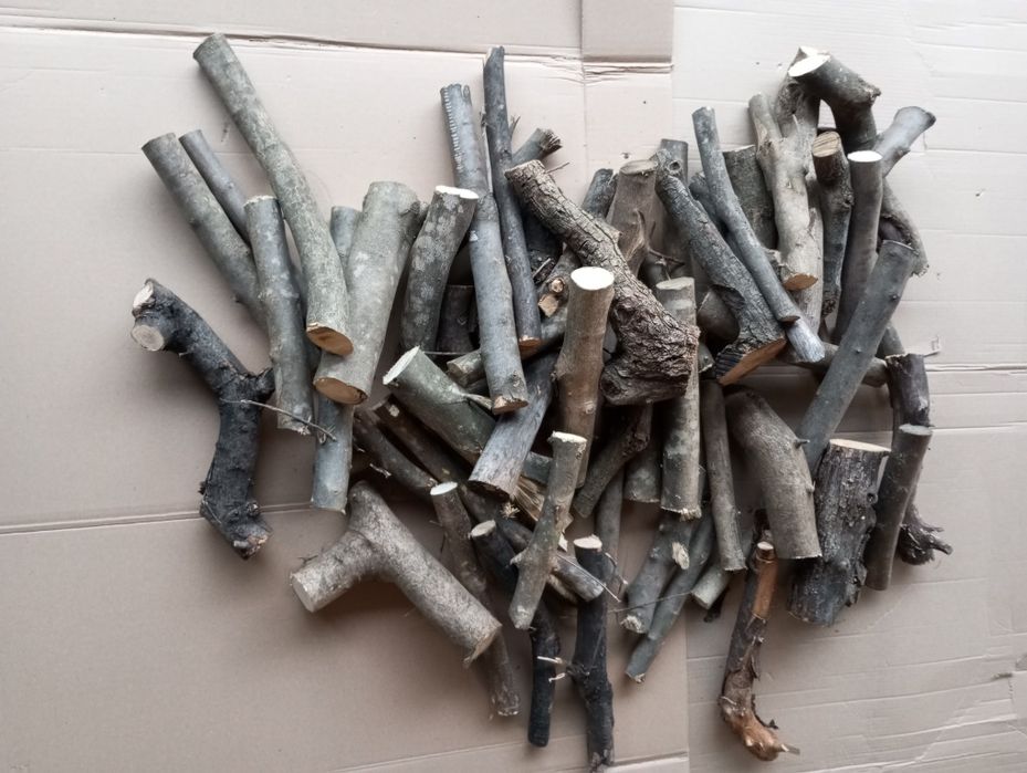 Drzewo Oliwne na Grilla 10 kg