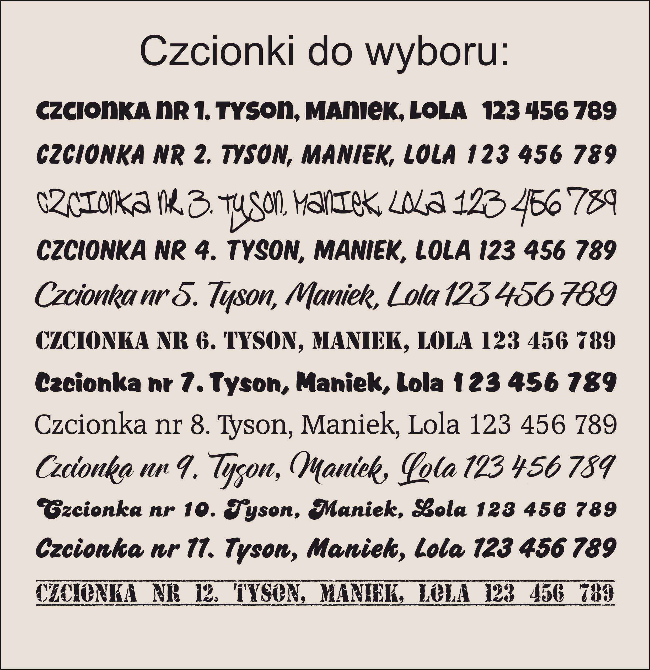 Zawieszka Identyfikator Adresówka Dla Kota Psa Grawerowana Imię Telefo