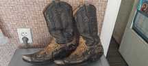 Сапоги  ковбойские  Sendra
