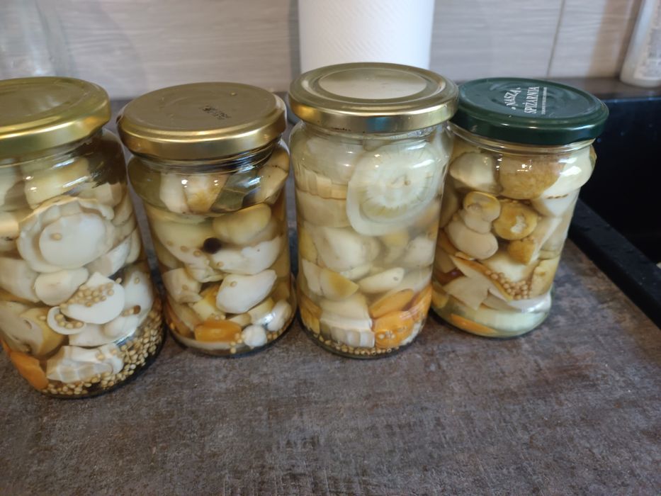 Sprzedam grzyby borowiki marnowane  tegoroczne