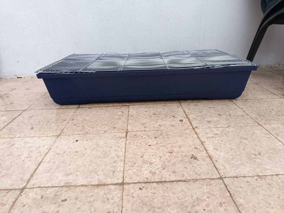 Gaiola coelho / porco da Índia grande