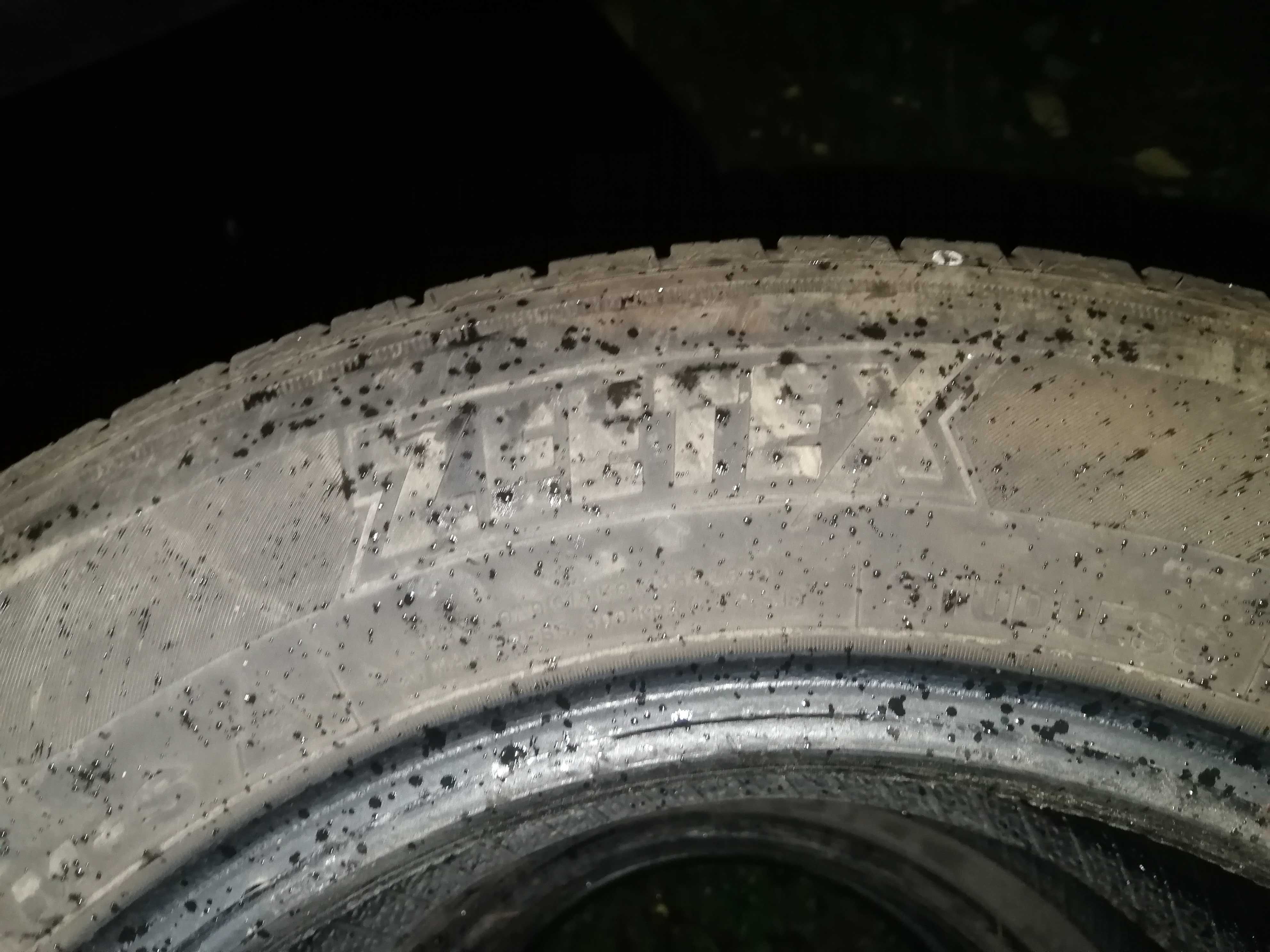 Opony zimowe Zeteex WP1000- 195/65 R15  4x / 2018