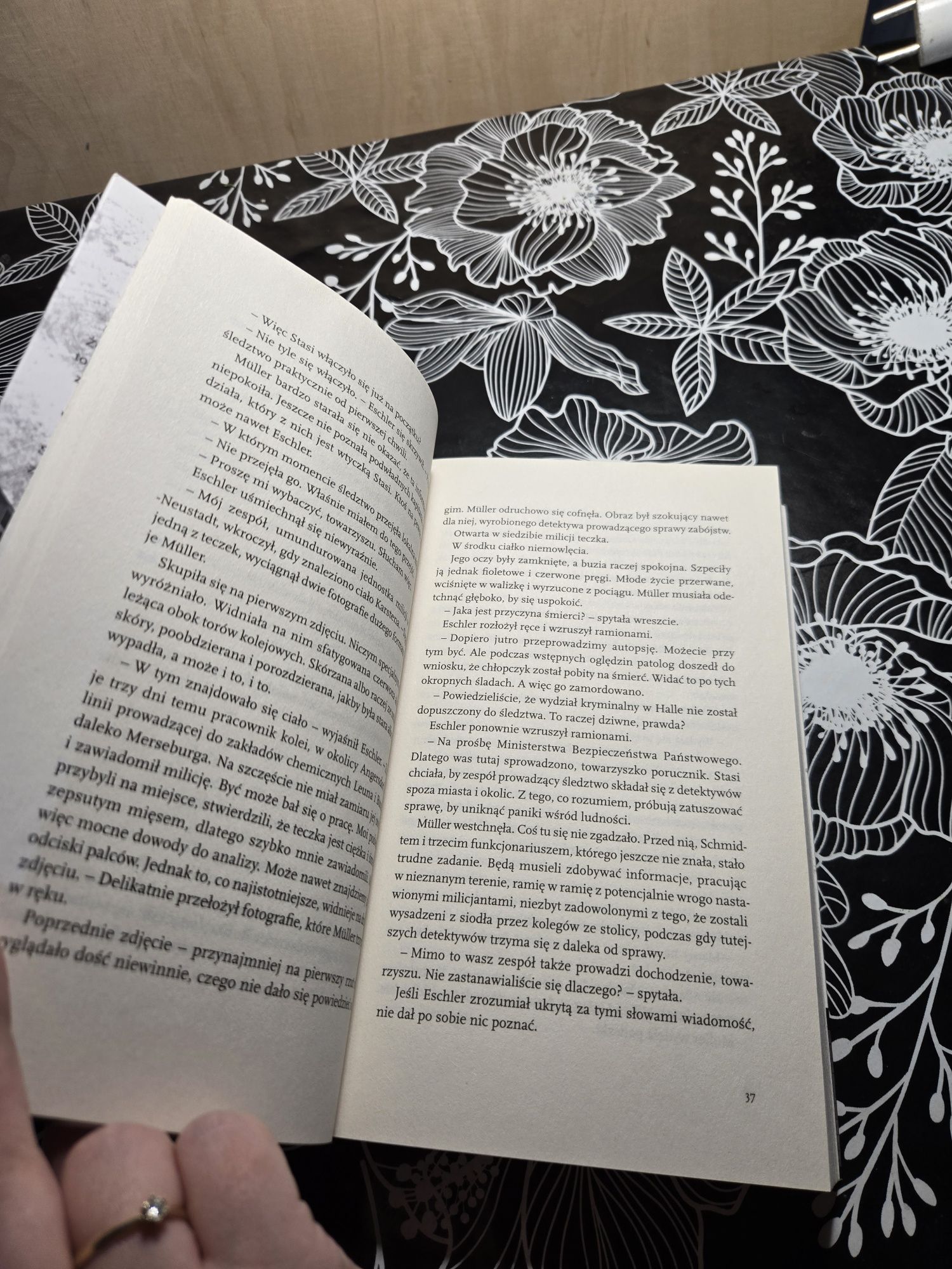 Książka Stasi i wilk