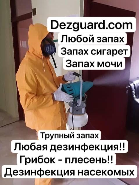 Дезинфекция от запаха - Травля насекомых , клопы , озон , плесень !