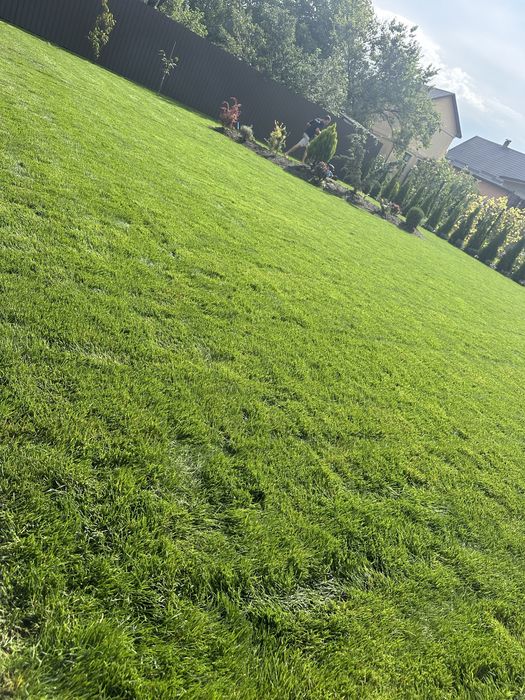 Догляну ваш двір: газон, автополив, рослини