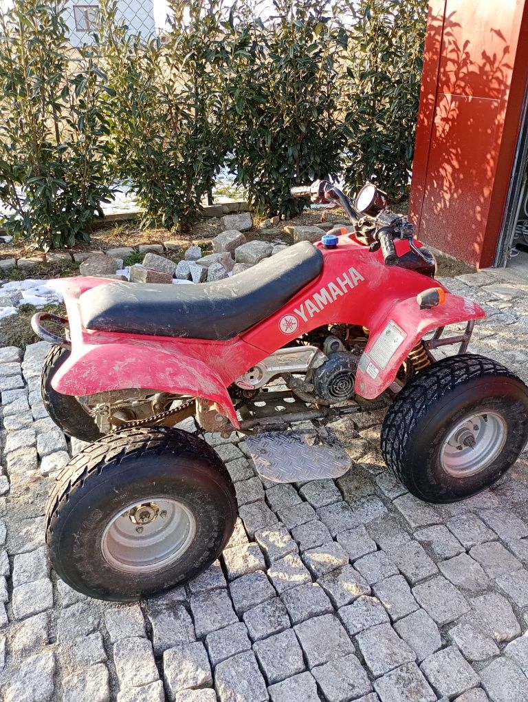 Quad smc, duży, mocny, 2t