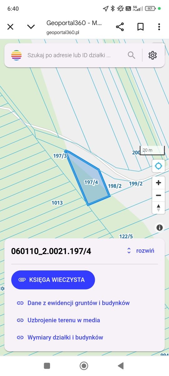 Działka leśna, las brzozowy 45 ar