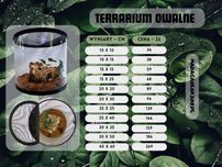 Terrarium Madagaskar Zoo 25 x 40 cm + wlokno kokosowe 9-10 litrow