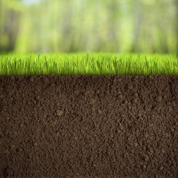 PRZESIEWANA Ziemia do ogrodu pod trawnik najlepsza 12 ton Dostawa