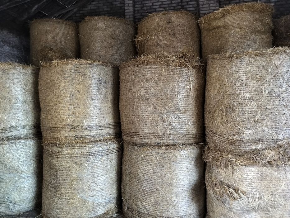 Sprzedam słomę z transportem 2025