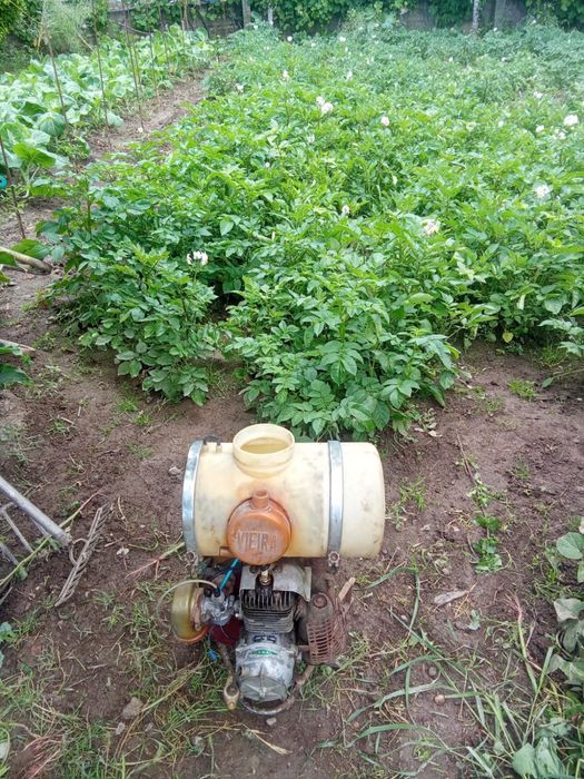 Máquina Sulfatar Casal