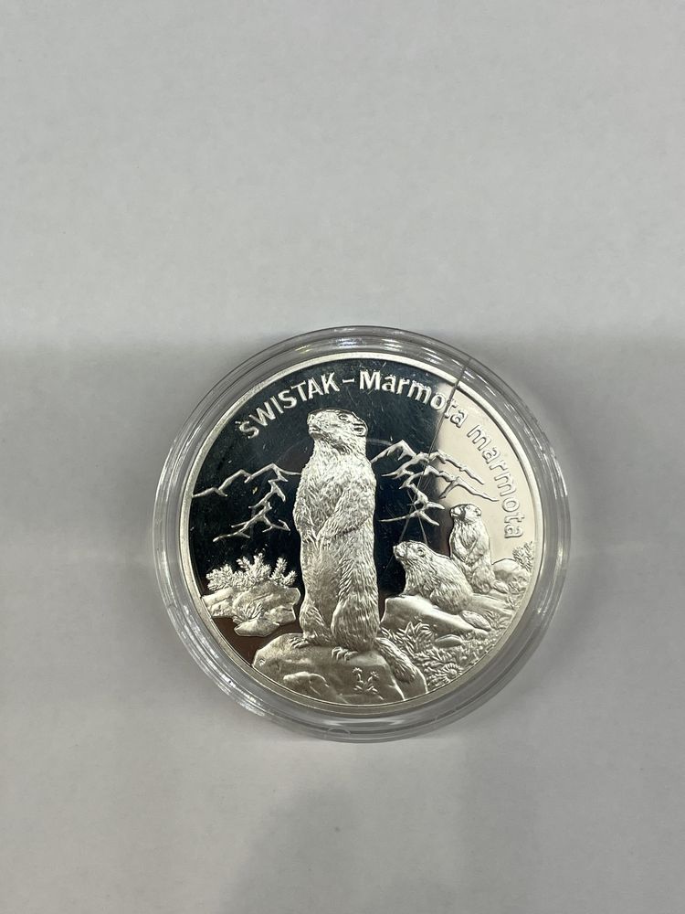 Moneta srebro 20 zł z 2006 roku - Świstak