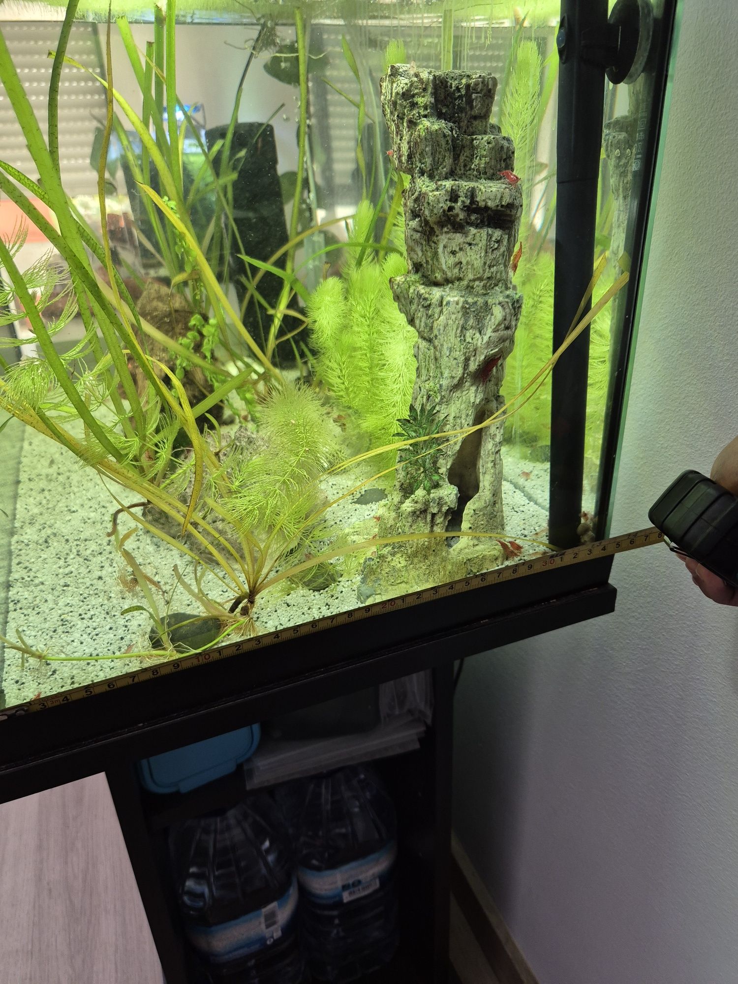 Aquário 100l com luz e termostato