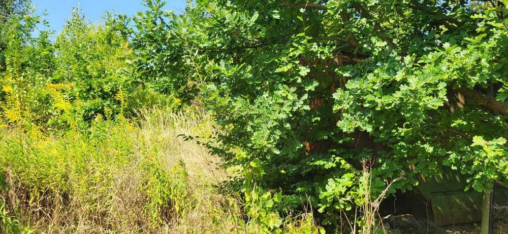 Продаж двох суміжних ділянок в Брюховичах, ліс, чудовий краєвид !