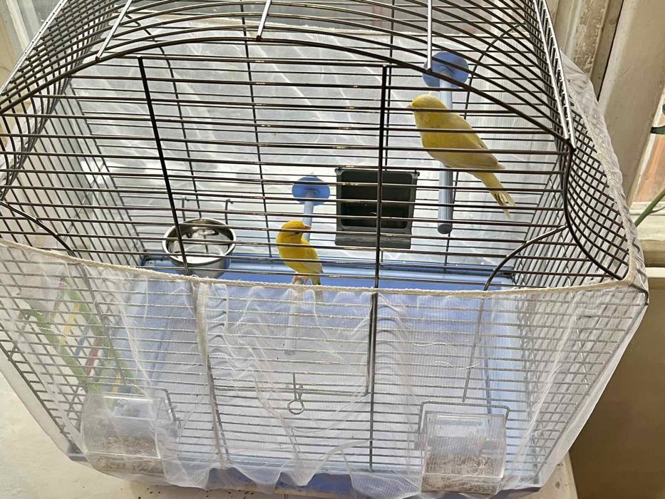 Продам клетку для Конора!!! Срочно!!!