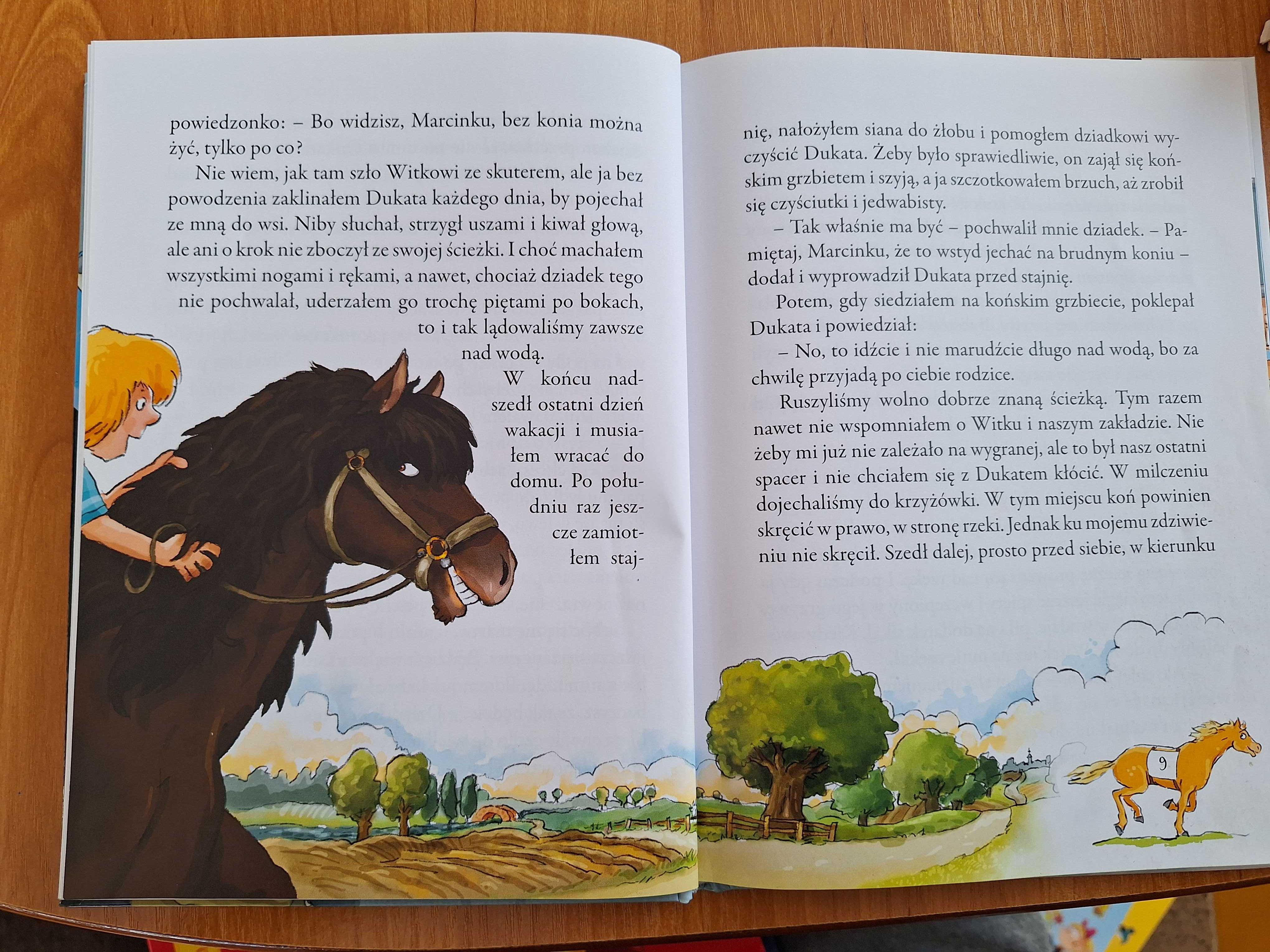 Książeczka Zbój. Opowiadania o koniach i konikach