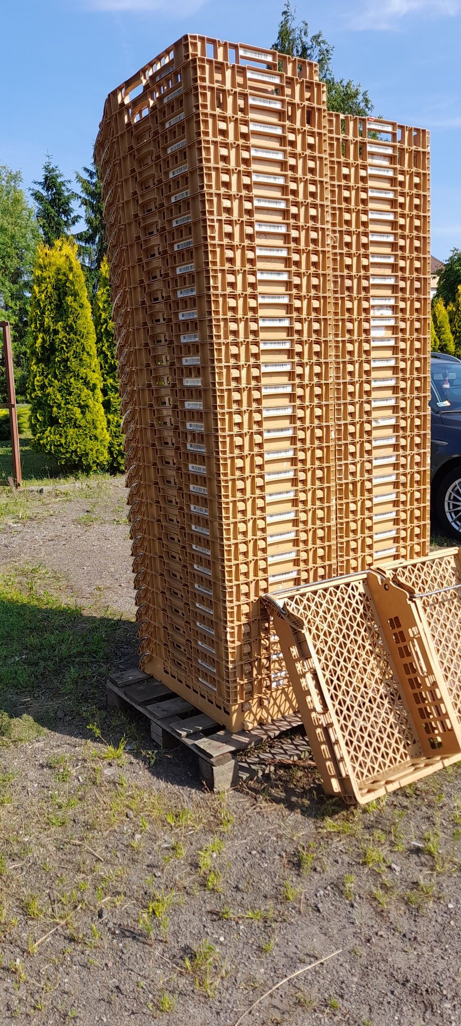 Skrzynki pojemniki kosze do pieczywa