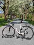 Rower Campus Tr 28"