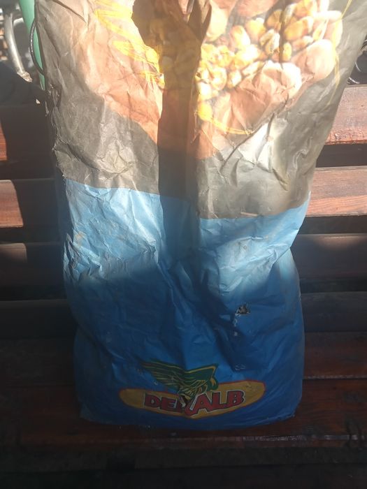 Насінник  соняшника по кілограмах