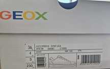 Eclyper Júnior GEOX (36)