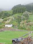 Moradia T3 para venda