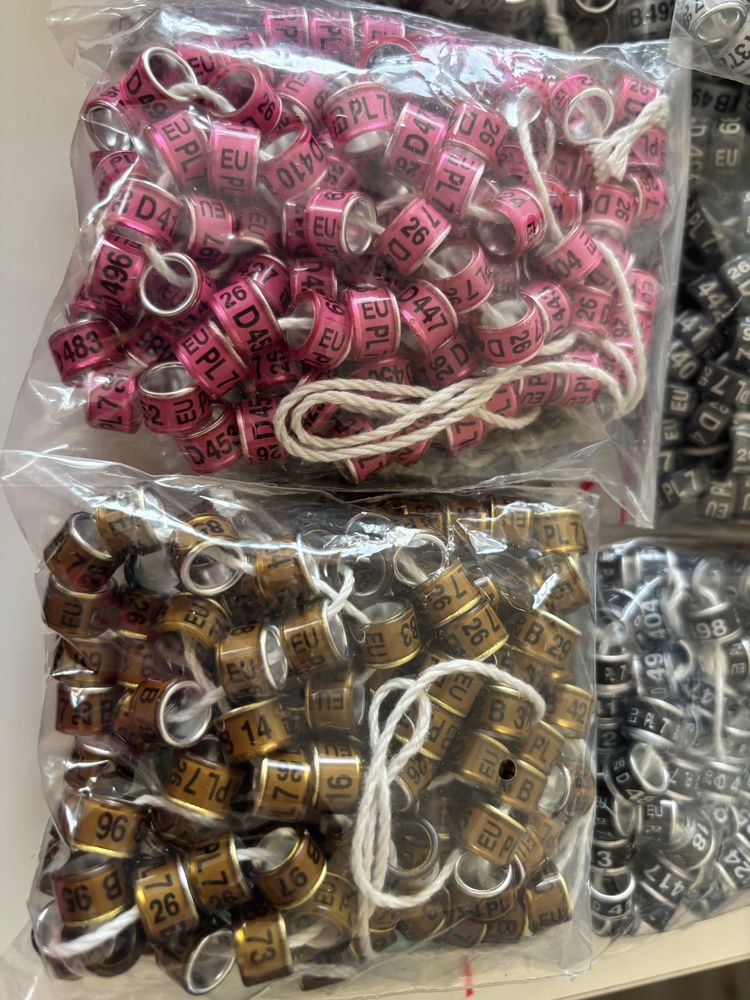 Obrączki dla gołębi ozdobnych od 6.5 - 12 mm na 2026 r