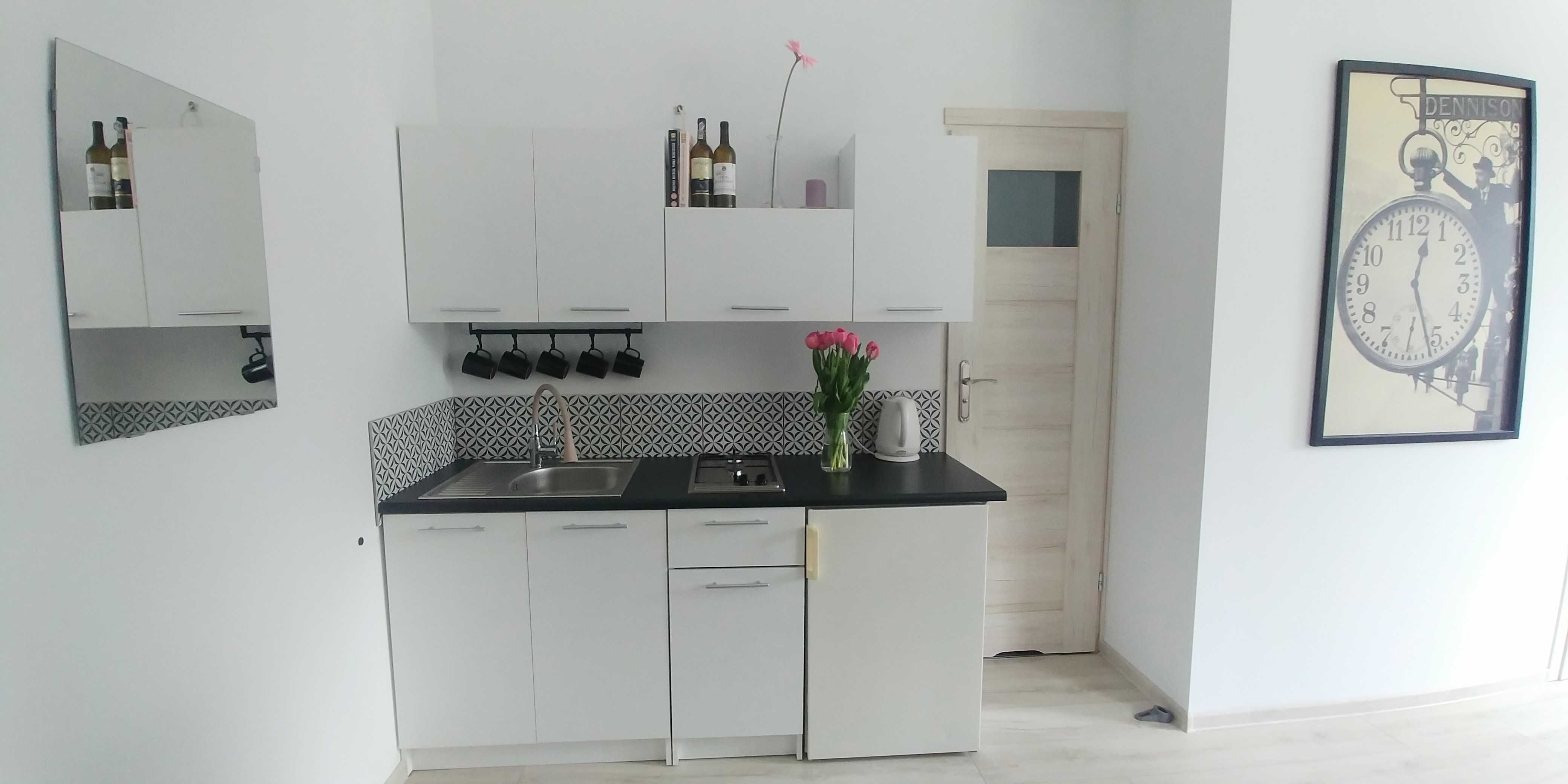 Wakacje w górach Sowich - Apartament JEDLINKA