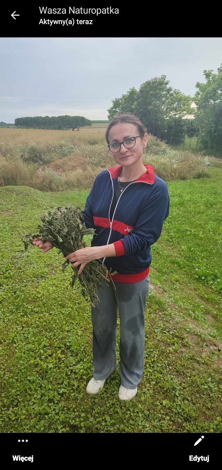 Sprzedam suchą pokrzywę z przytulią.