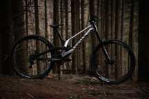Canyon Sender cfr 29 (L) Underdog