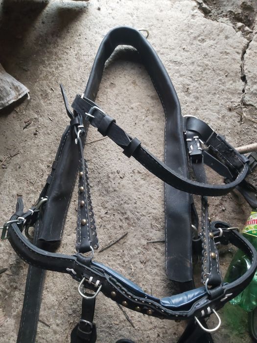 Продам  шлею румунська нова