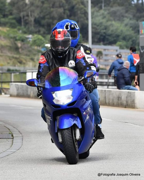 Honda CBR 1100XX SuperBlackbird