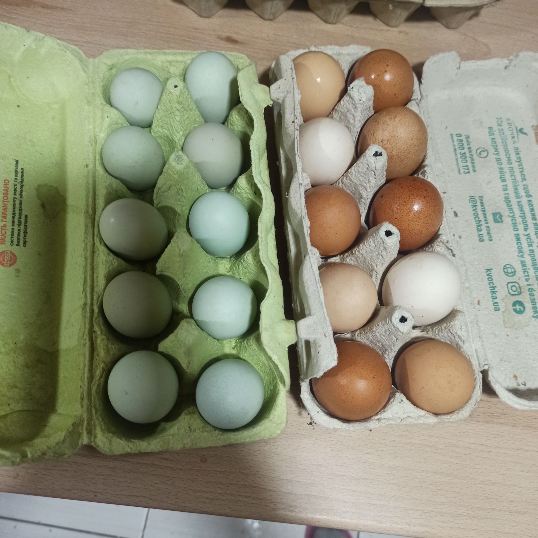 Яйця курячі домашні