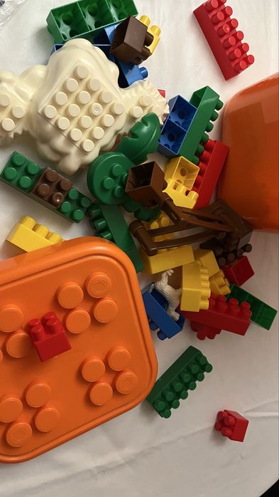 Caixa blocos de construção com animais e peças variadas