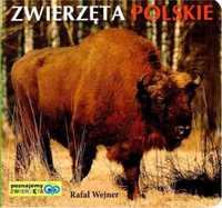 Poznajemy zwierzęta. Zwierzęta polskie LIWONA - Rafał Wejner