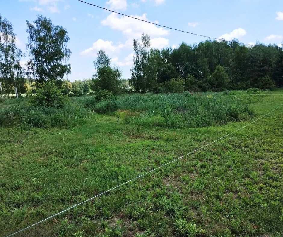 Sprzedam działkę 3200 m2 rekreacyjną blisko lasu- 80 km od Warszawy!