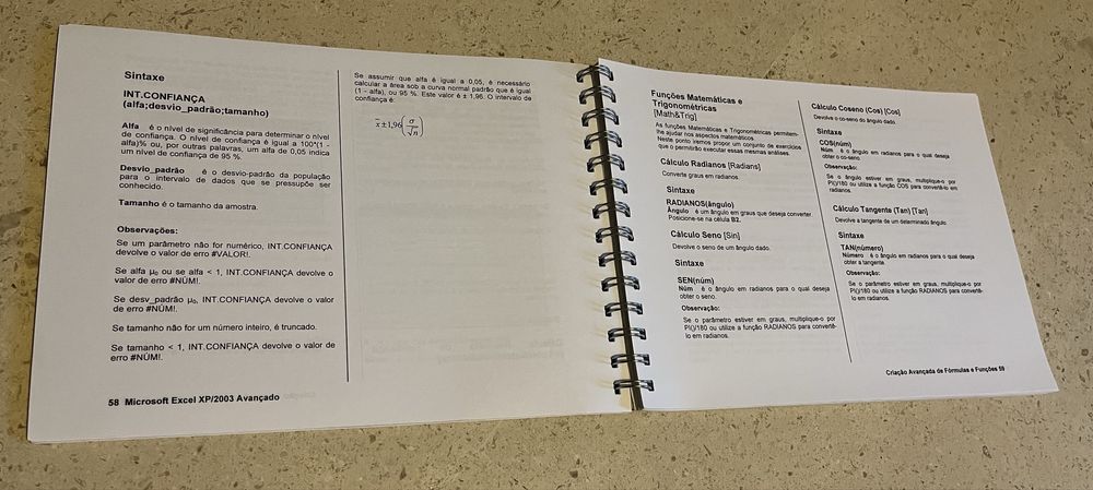 Manual de Microsoft Excel XP 2003 Avançado