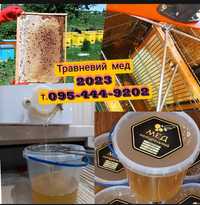 Продам соняшниковий мед 2023р ОПТОМ