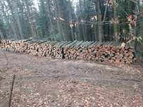 Opał bukowy  300zl