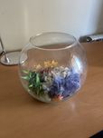 Aquario de Vidro