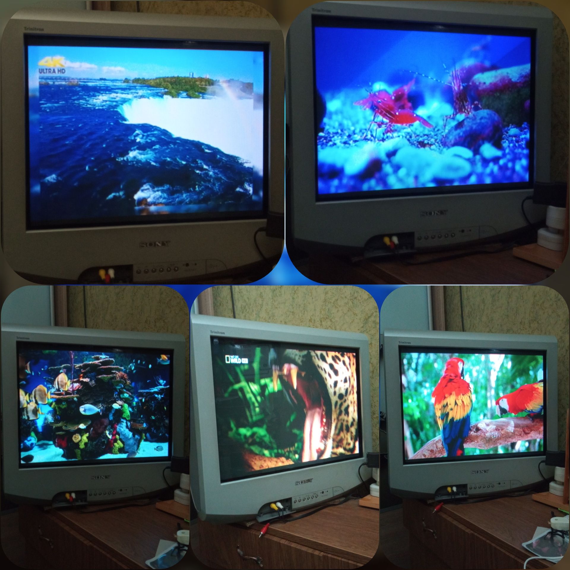 TV SONY Trinitron + приставка Т2