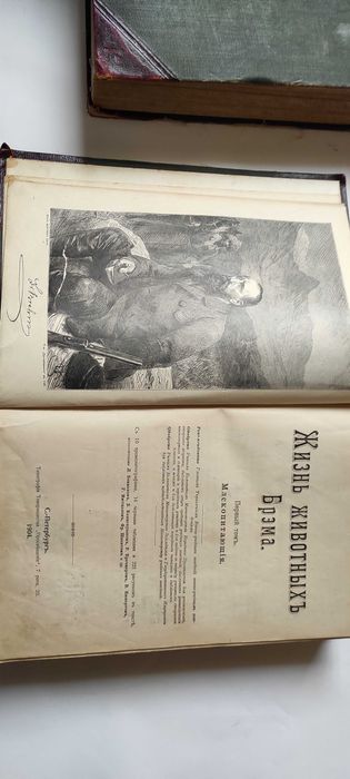 Жизнь животных Брэма. В трех томах. 1904 г.
