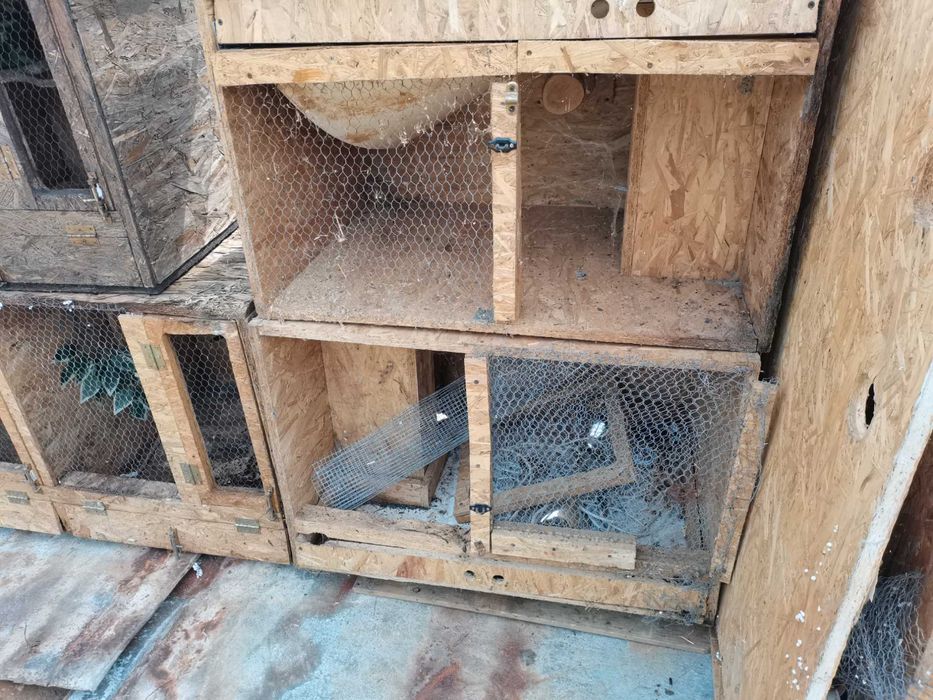 Klatka woliera na ptaki króliki itp.