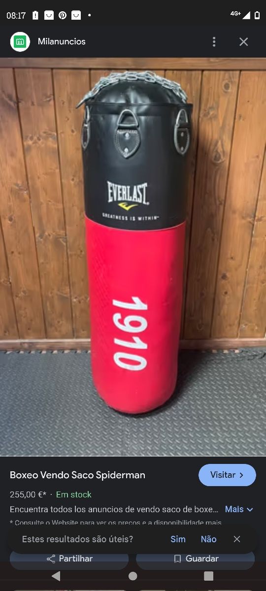 Saco Box KickBox Luta Novo Everlast