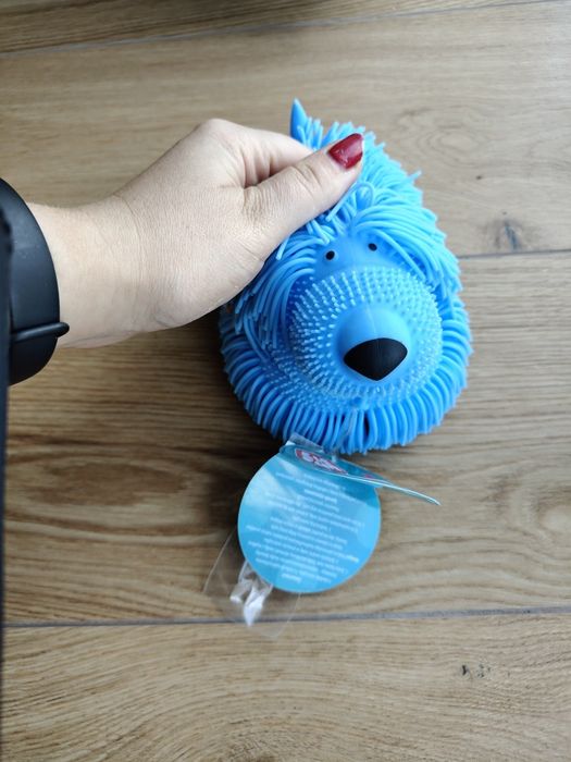 Sensoryczny kudłaty piesek